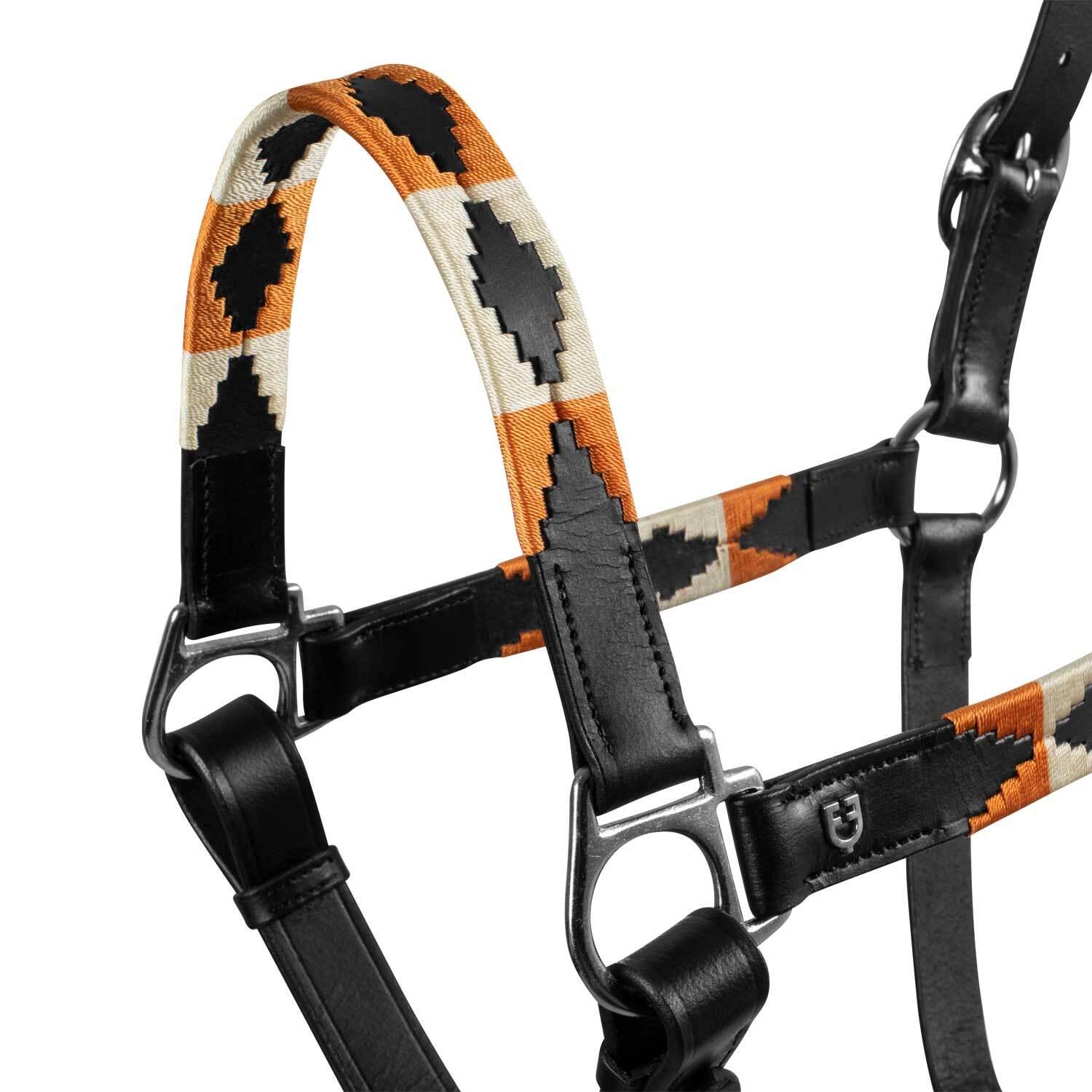 product/e/q/equestro_eth03001-black_black_3.jpg