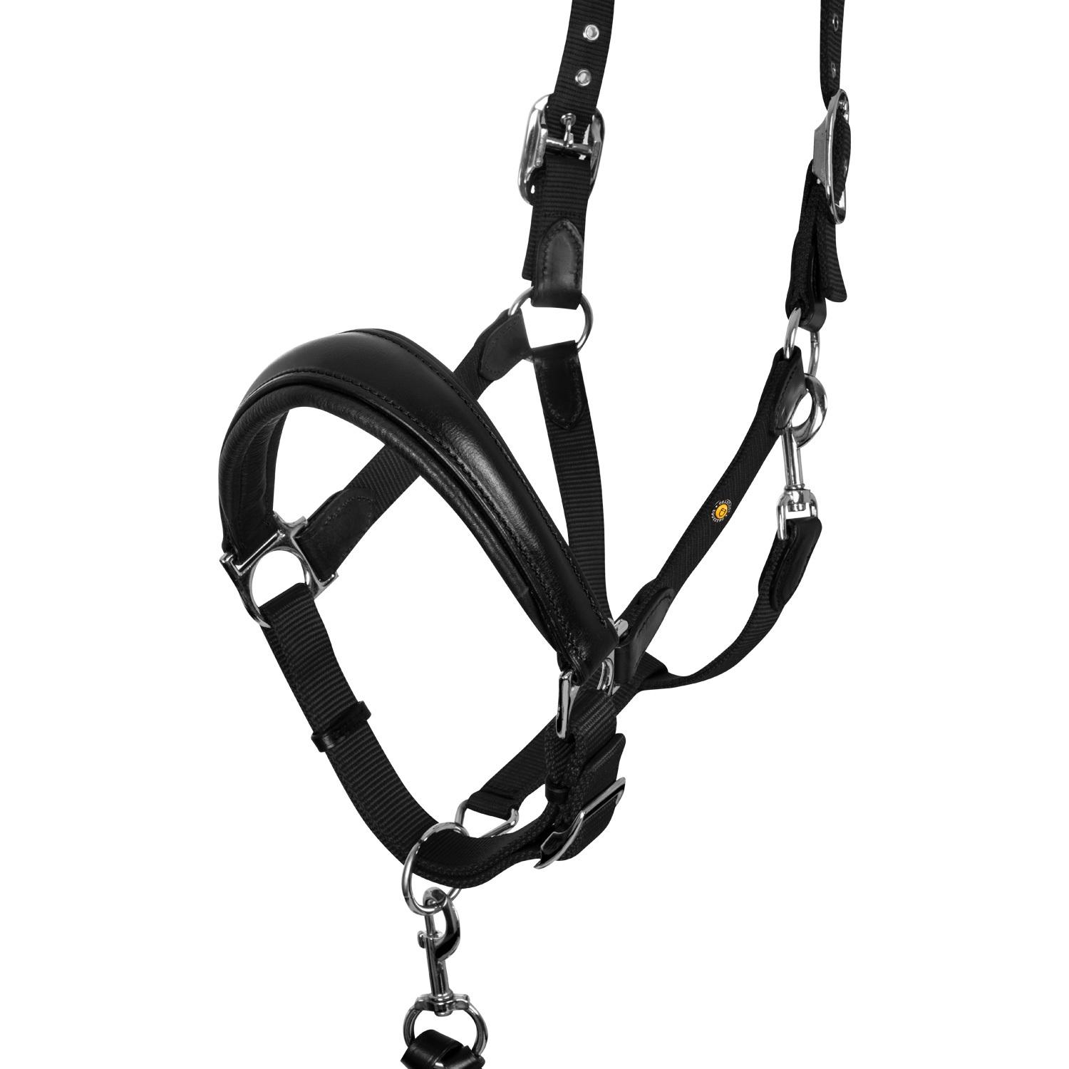 product/e/q/equestro_eth03002n-black_black_black-black_2.jpg