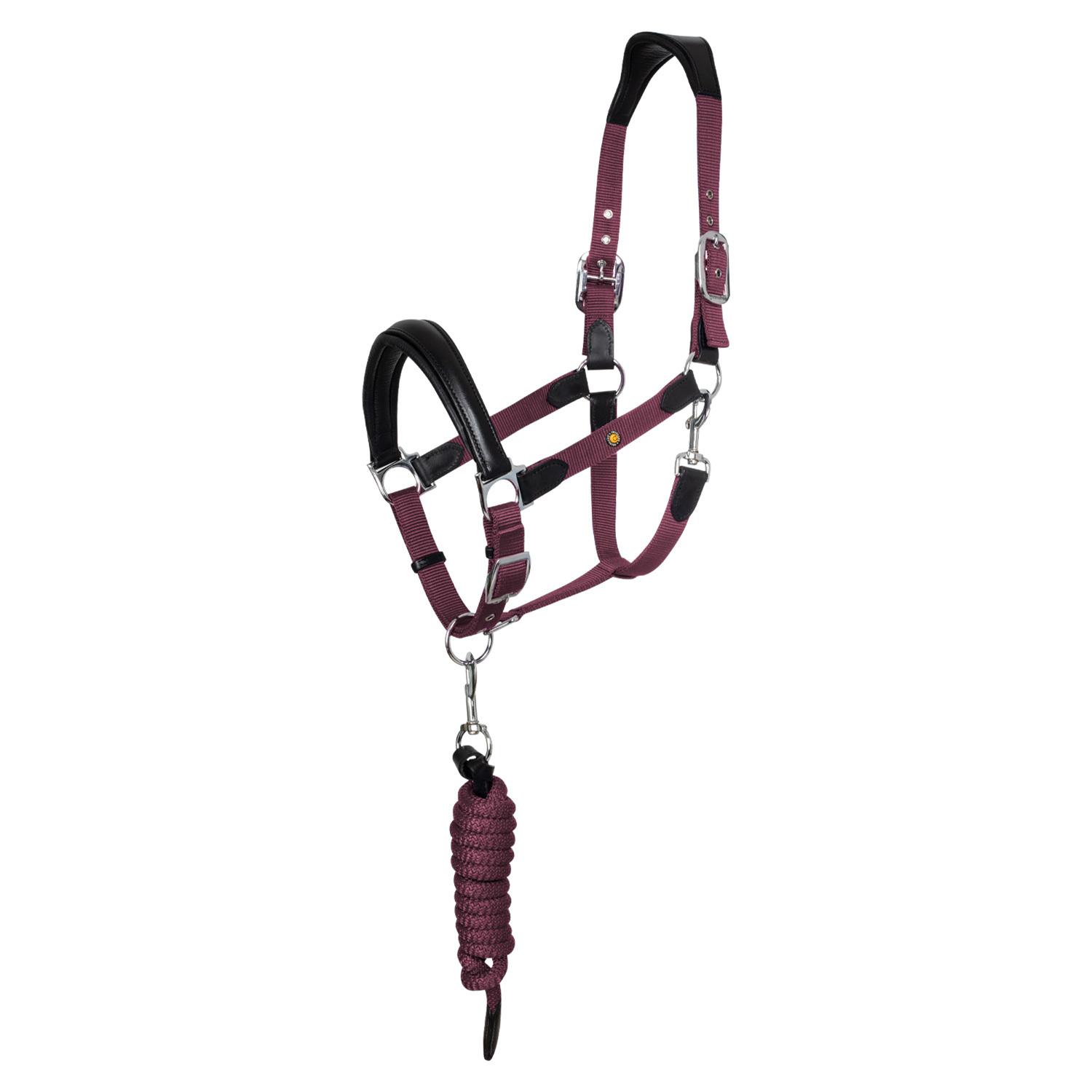 product/e/q/equestro_eth03002n-black_burgundy_black-burgundy_1.jpg