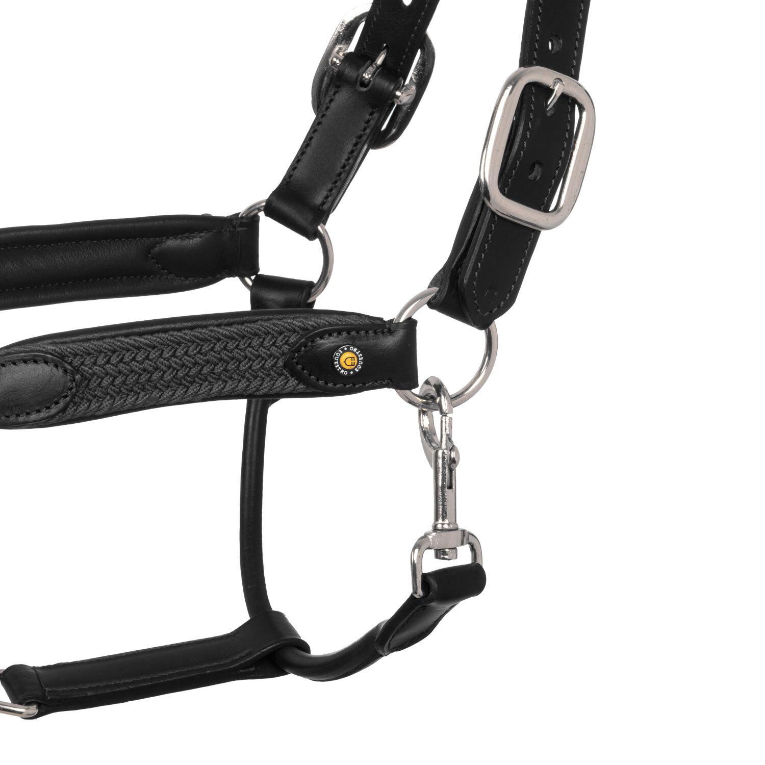 product/e/q/equestro_eth03003-black_grey_black-grey_2.jpg
