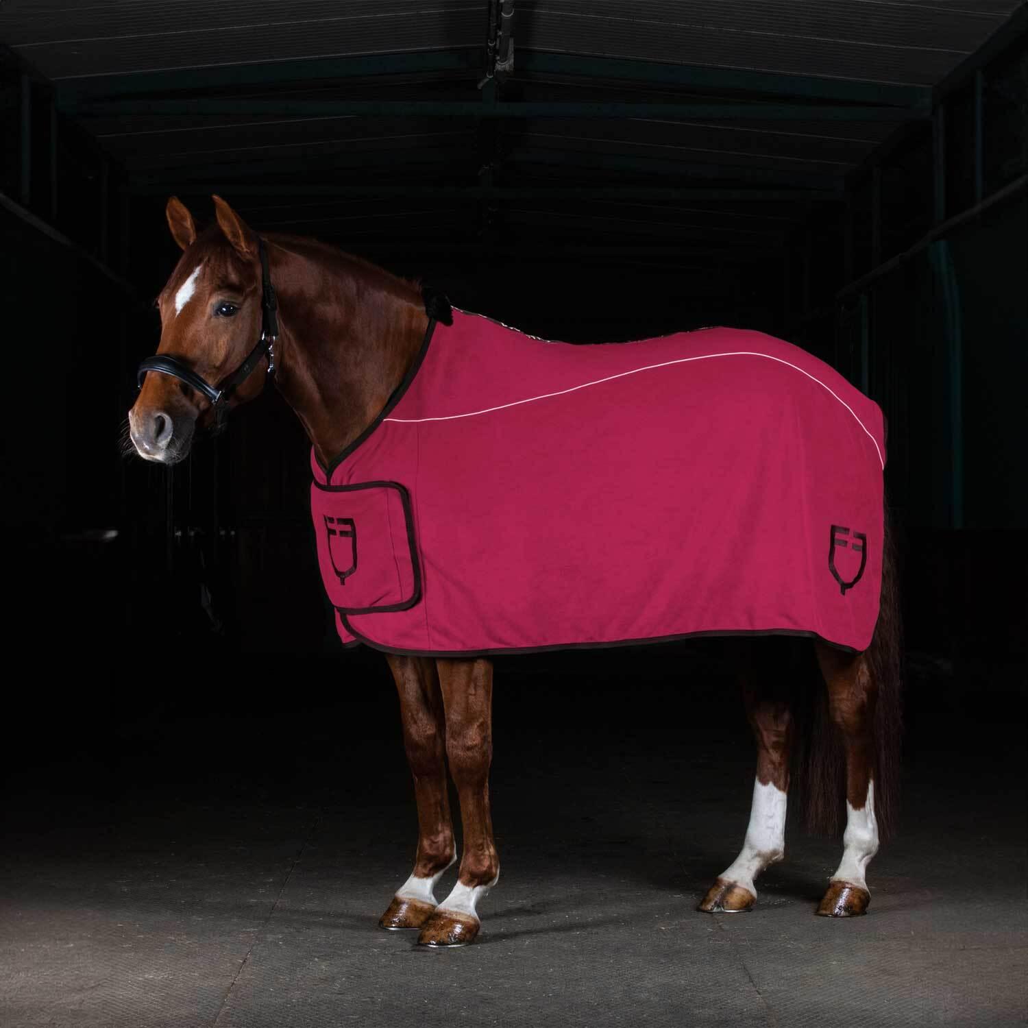 product/e/q/equestro_eth04004-burgundy_burgundy_5.jpg