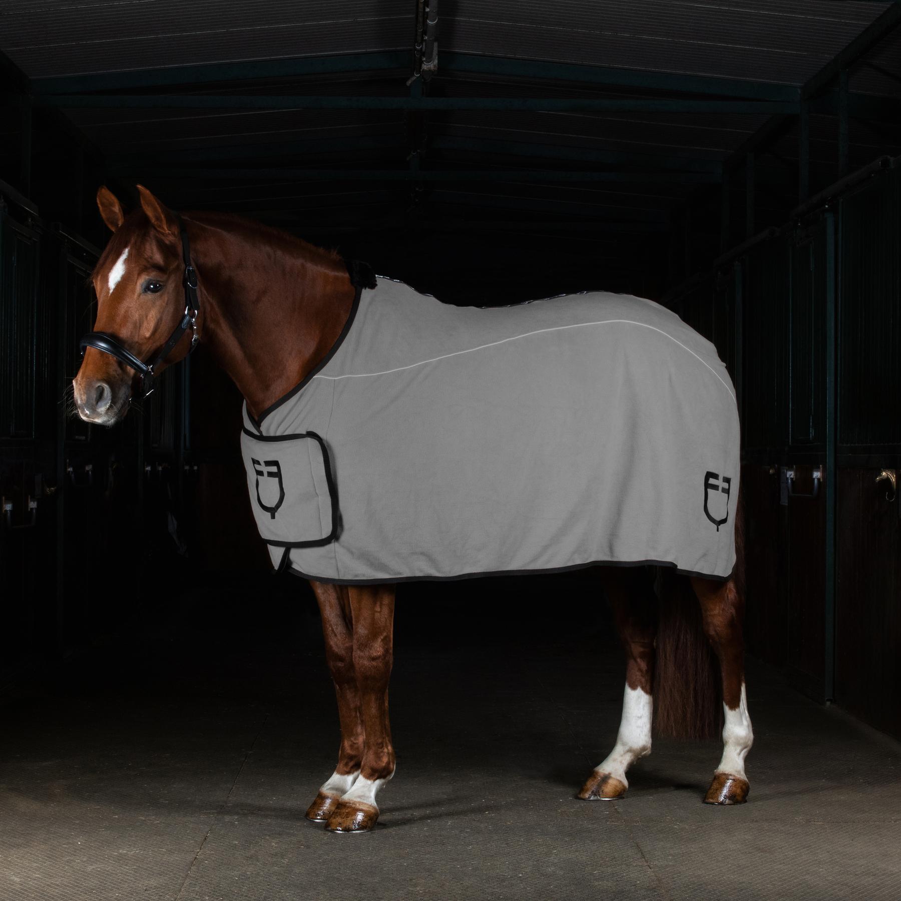 product/e/q/equestro_eth04004-grey_grey_5.jpg