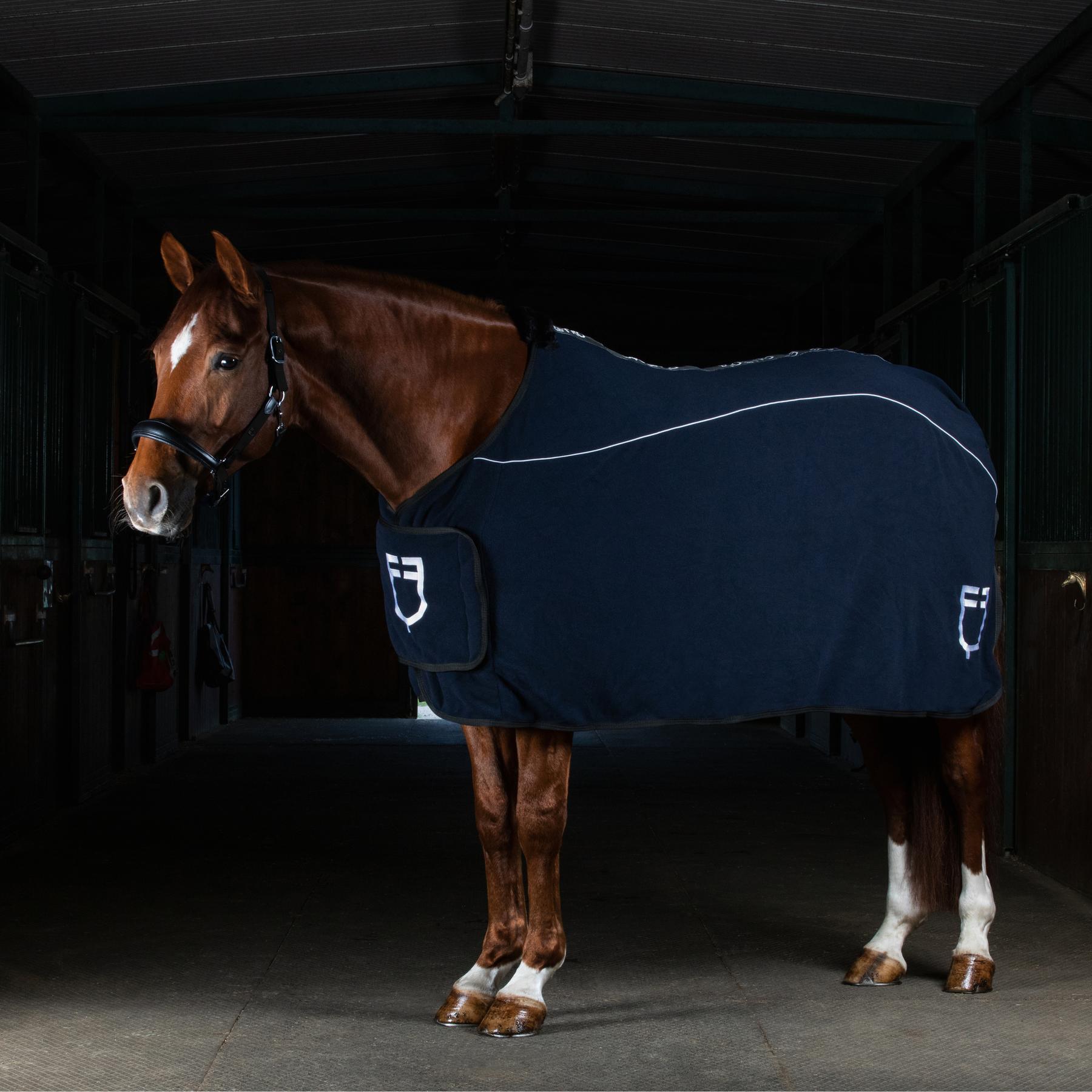 product/e/q/equestro_eth04004-navy_navy_5.jpg