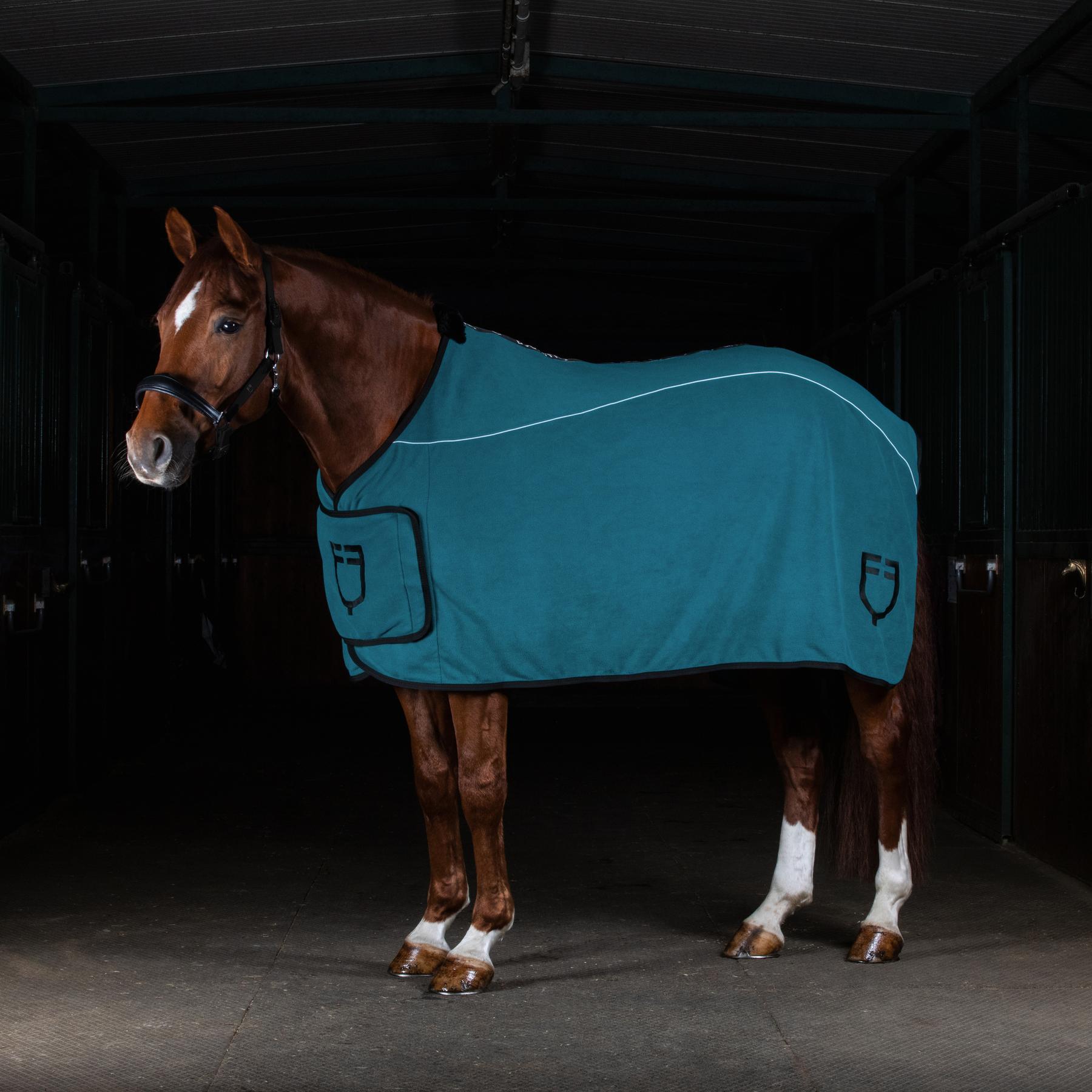 product/e/q/equestro_eth04004-petrol_petrol_4.jpg