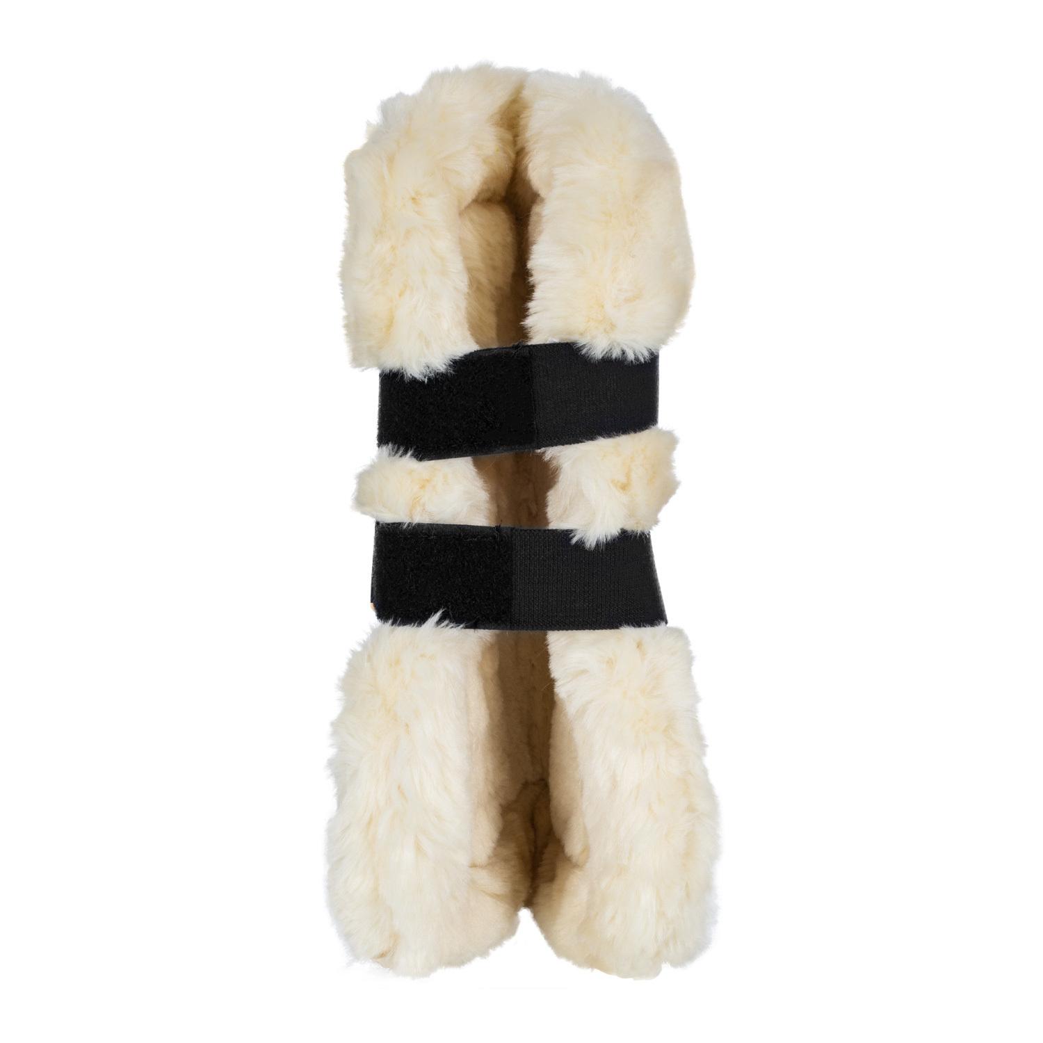 product/e/q/equestro_eth07004-black_black_5.jpg