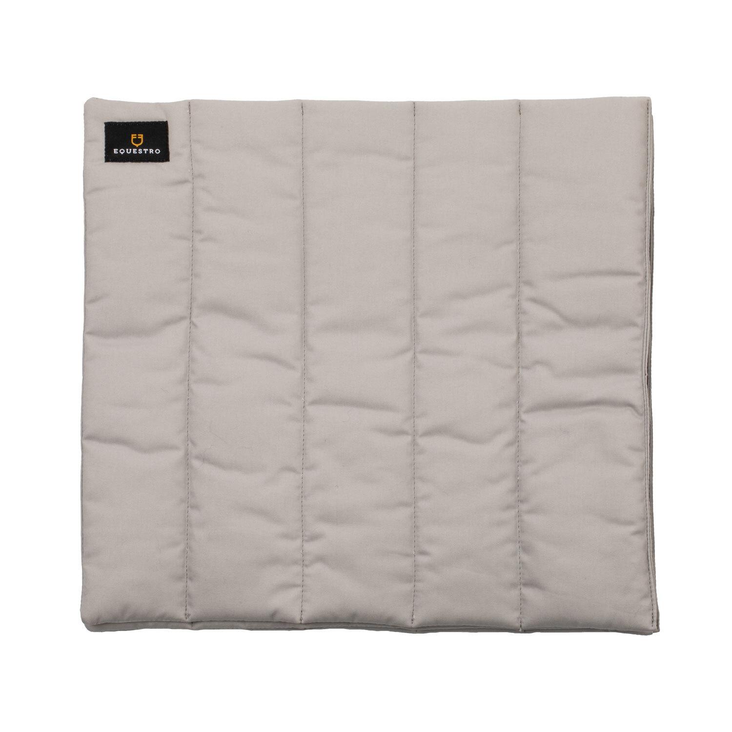 product/e/q/equestro_eth07008-grey_grey_1.jpg