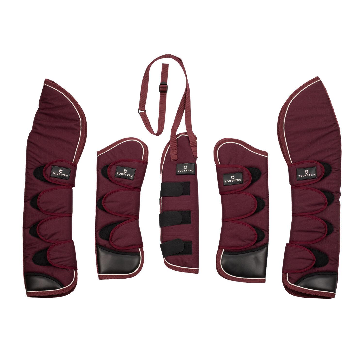 product/e/q/equestro_eth07039-burgundy_burgundy_1.jpg