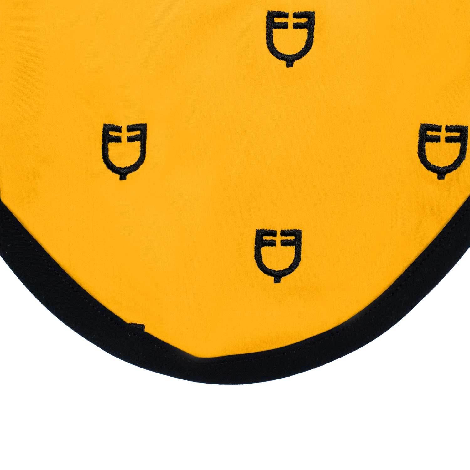 product/e/q/equestro_eth09017-yellow_black_yellow-black_4.jpg