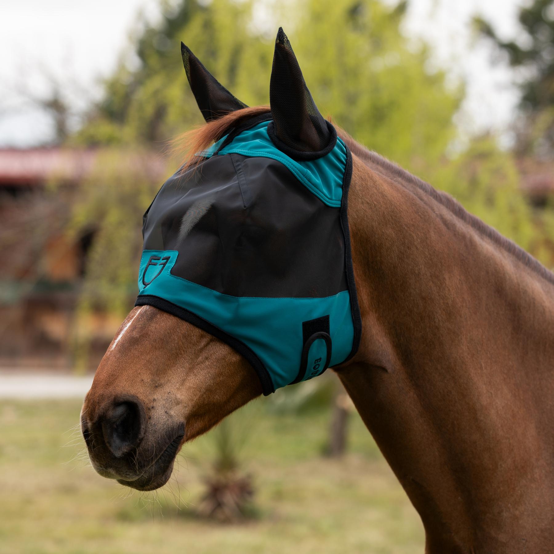 product/e/q/equestro_ets06000-petrol-_548c__petrol-548c_3.jpg