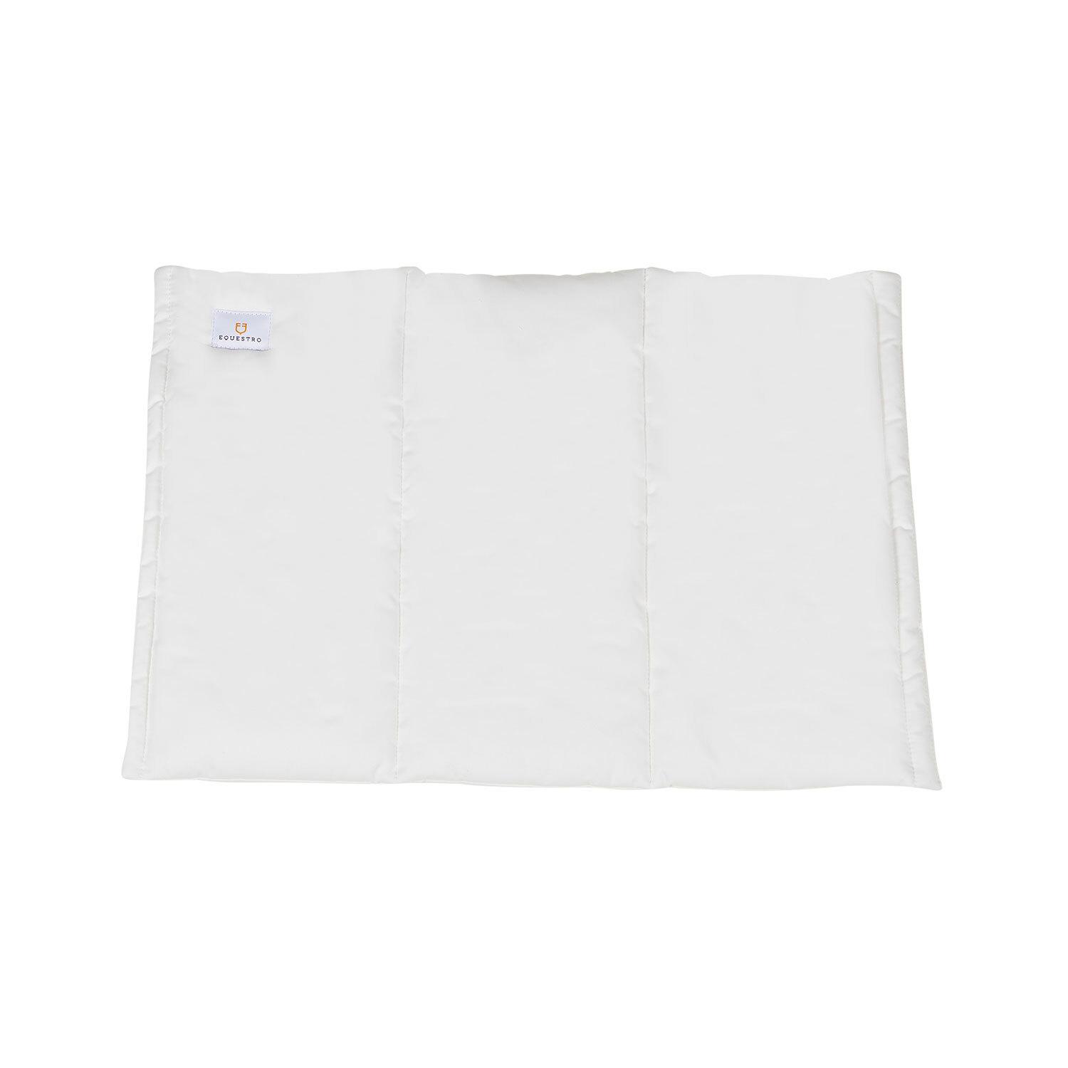 product/e/q/equestro_pr00510-white_white_2.jpg
