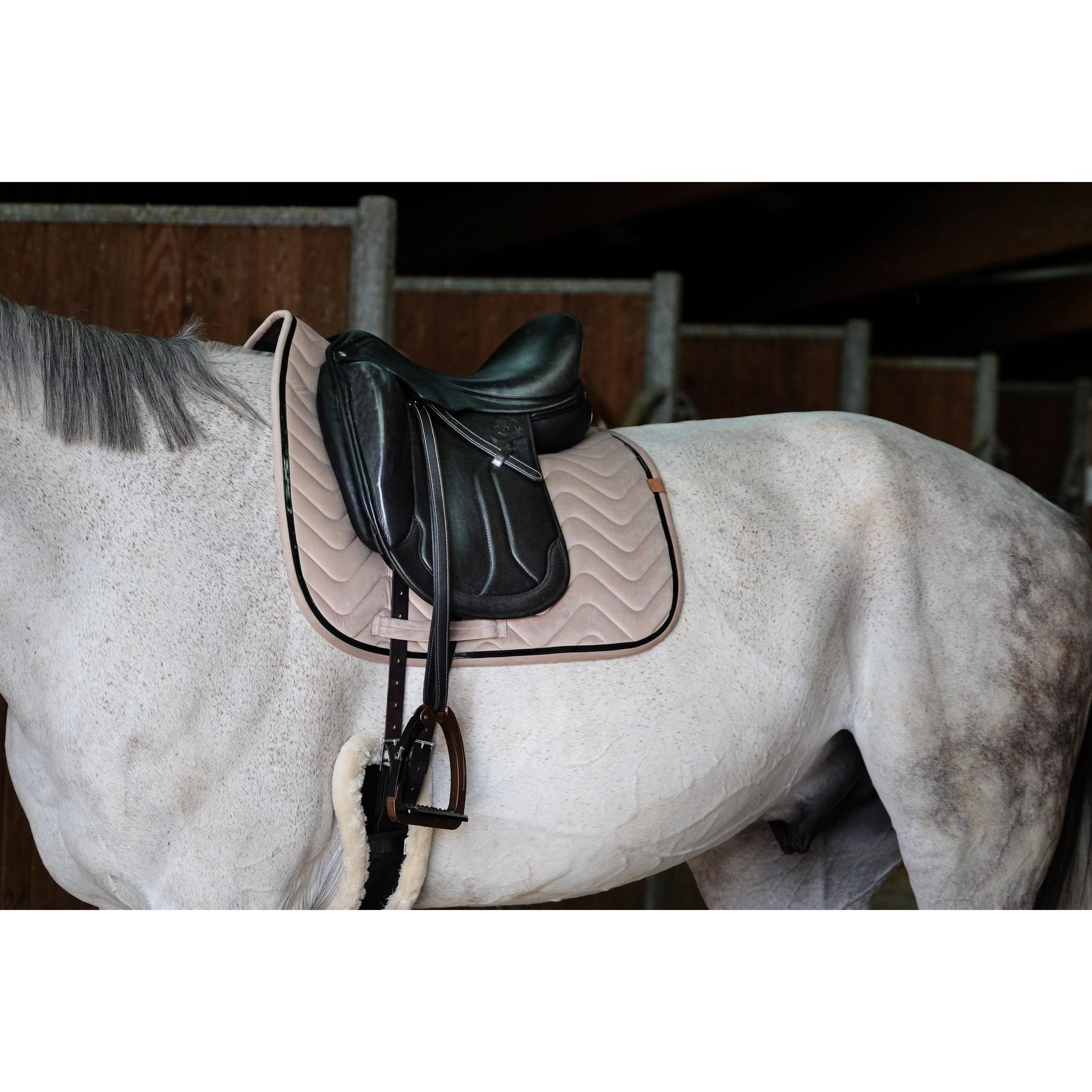 product/e/q/equitheme_204_765_005_ambi1.jpg