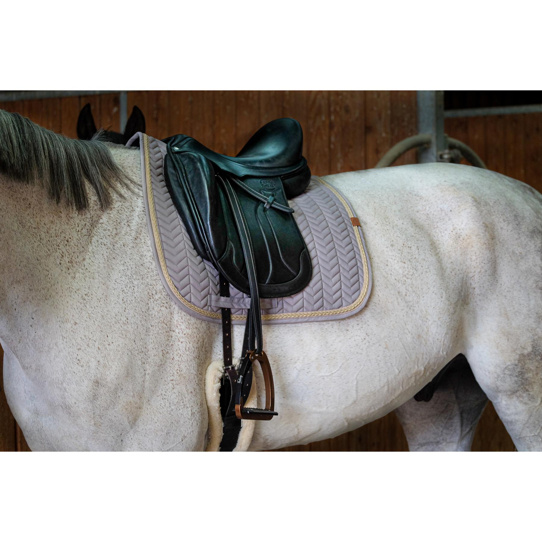 product/e/q/equitheme_204_766_021_ambi1.jpg