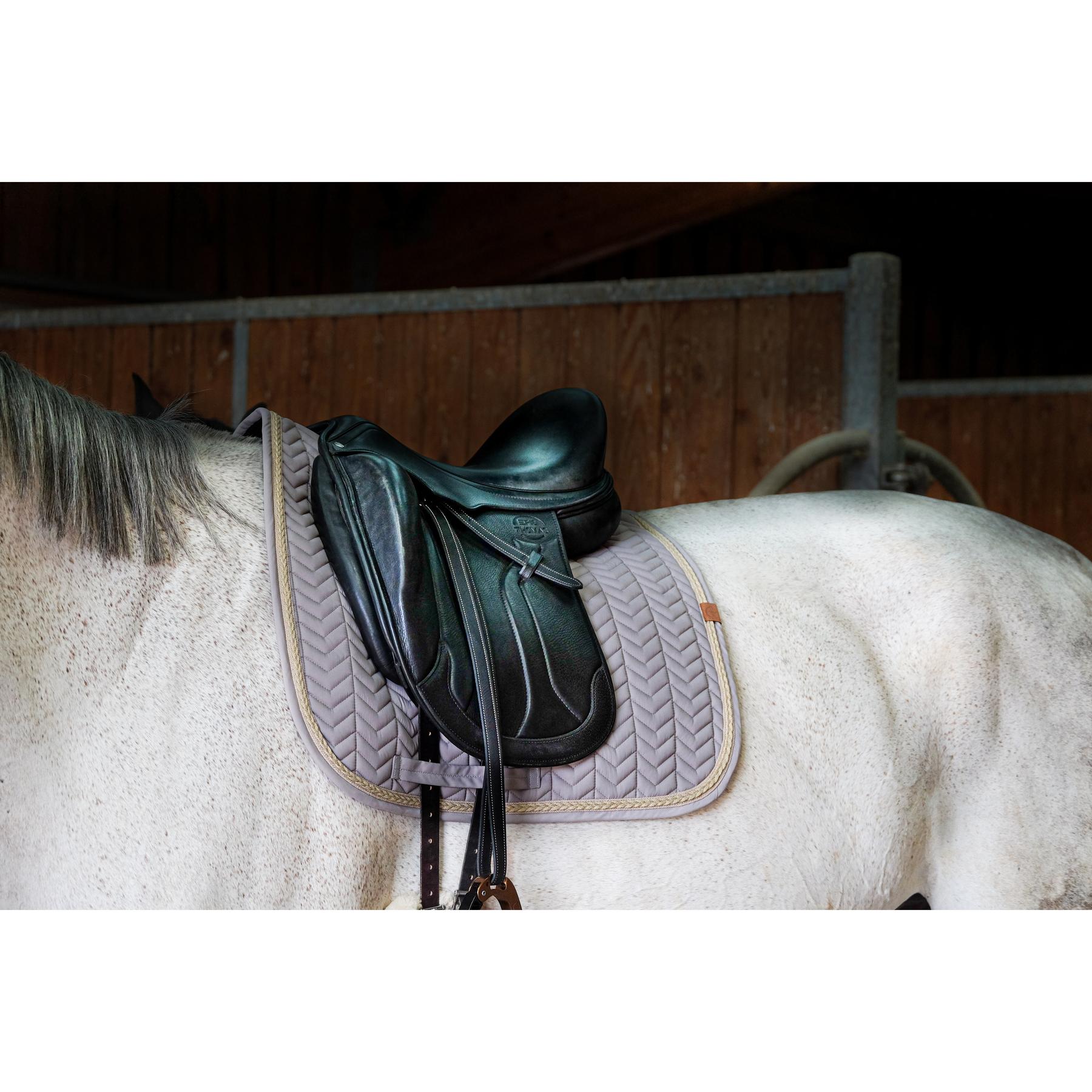 product/e/q/equitheme_204_766_021_ambi2.jpg