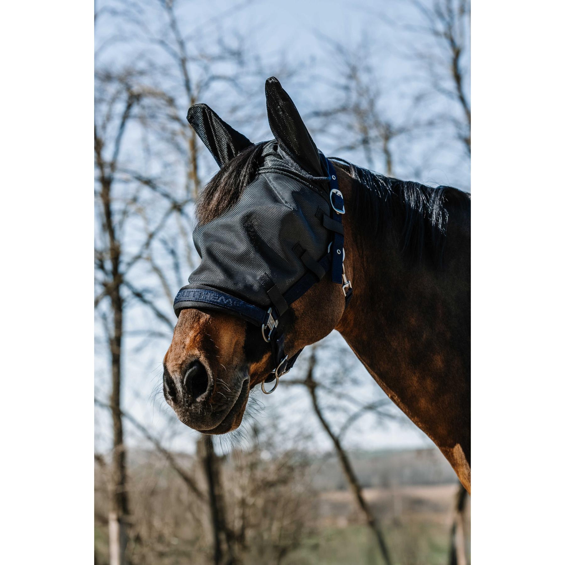 product/e/q/equitheme_306040201_noir_1.jpg