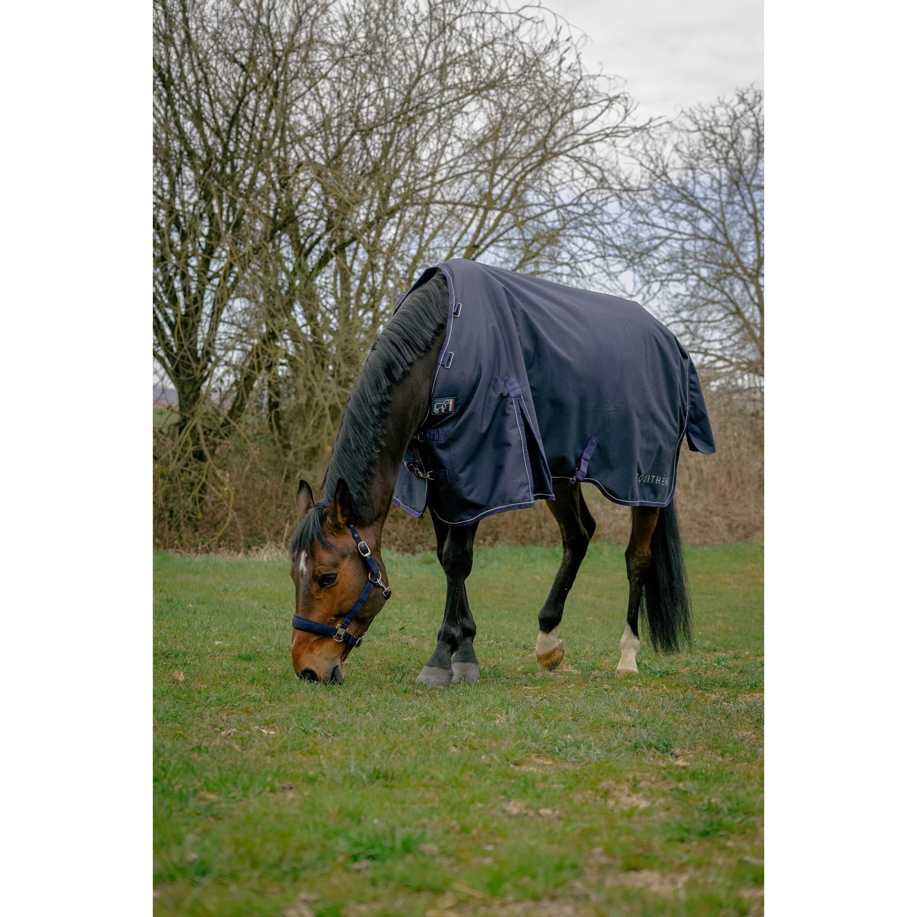 product/e/q/equitheme_400575759_marine_1.jpg