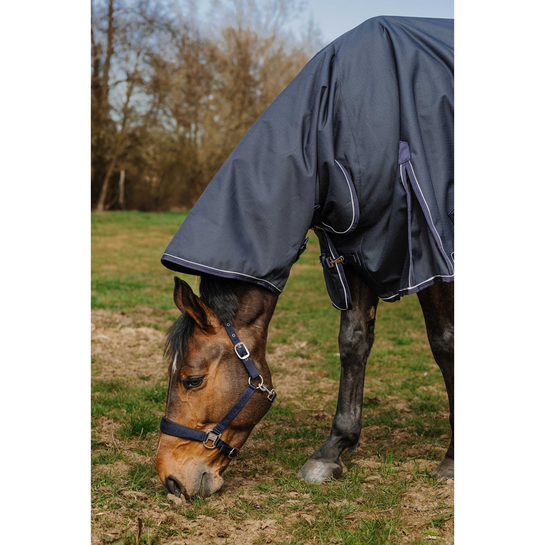 product/e/q/equitheme_400580759_marine_3.jpg
