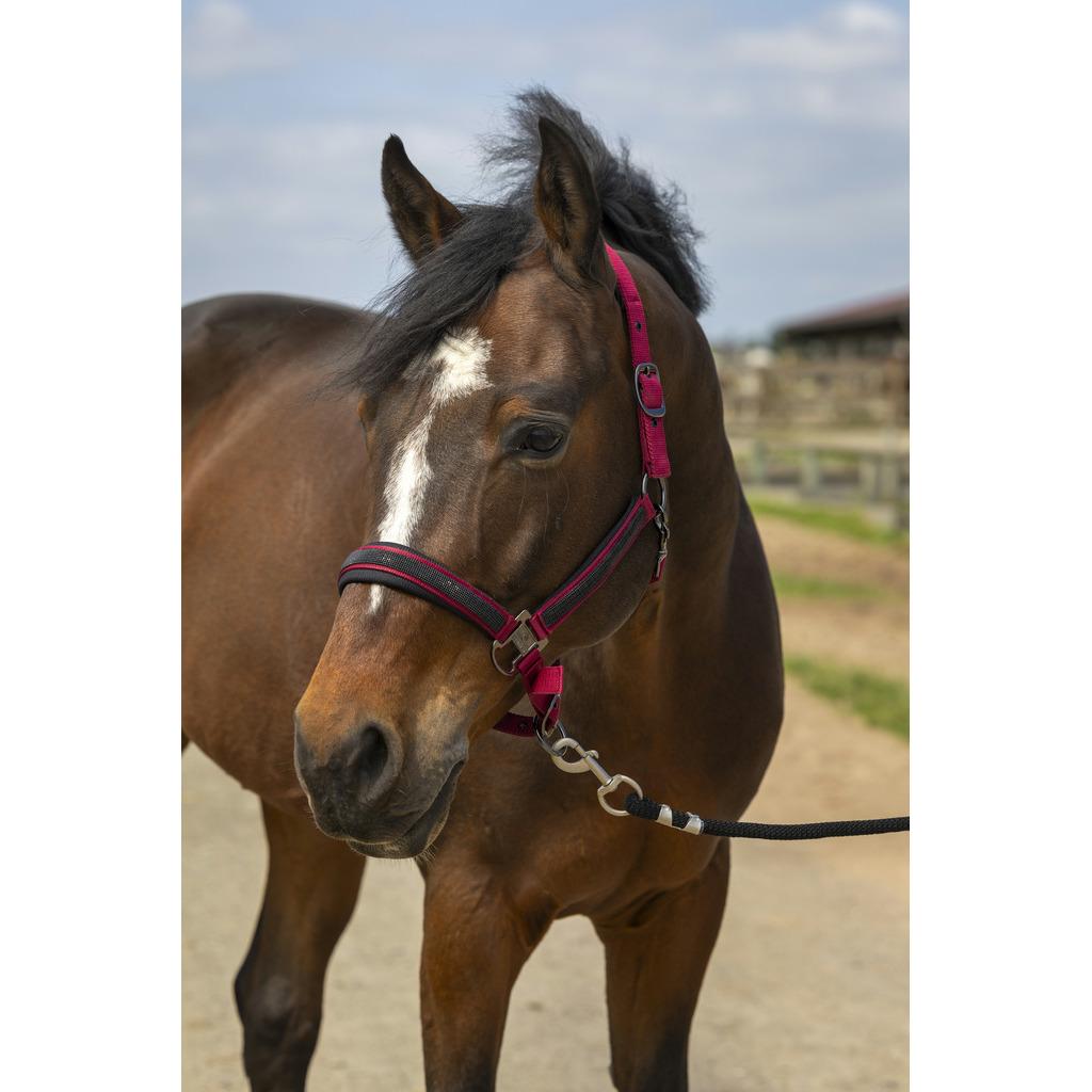 product/e/q/equitheme_510_250_333_ambi.jpg