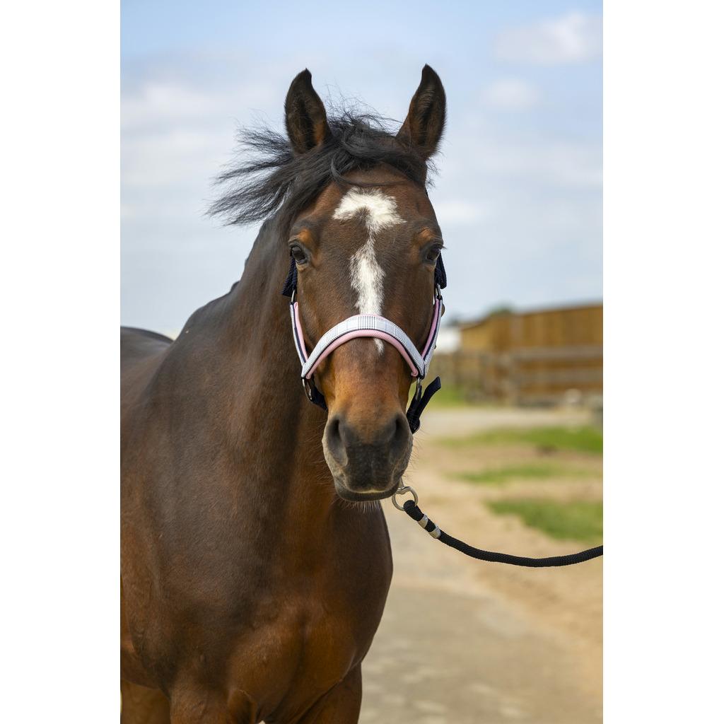 product/e/q/equitheme_510_251_373_ambi.jpg