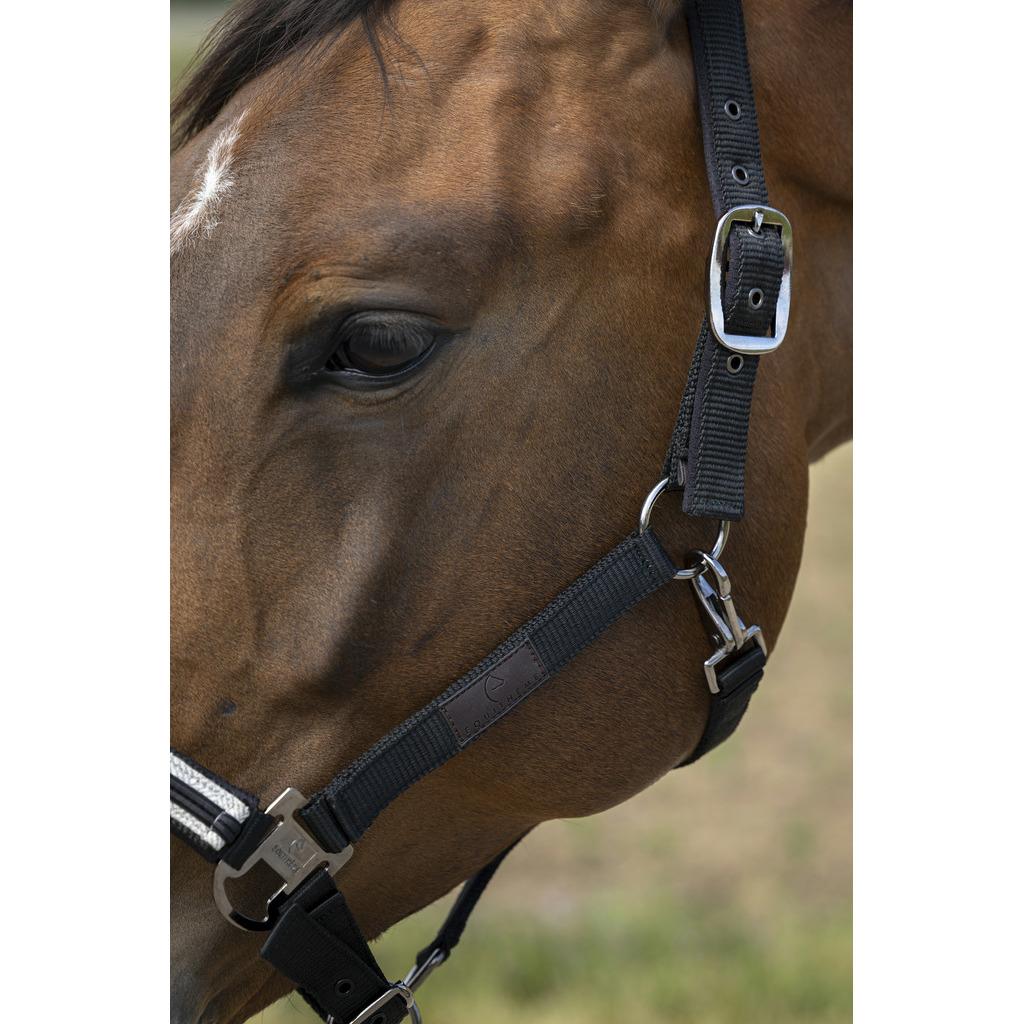 product/e/q/equitheme_510_254_002_ambi.jpg