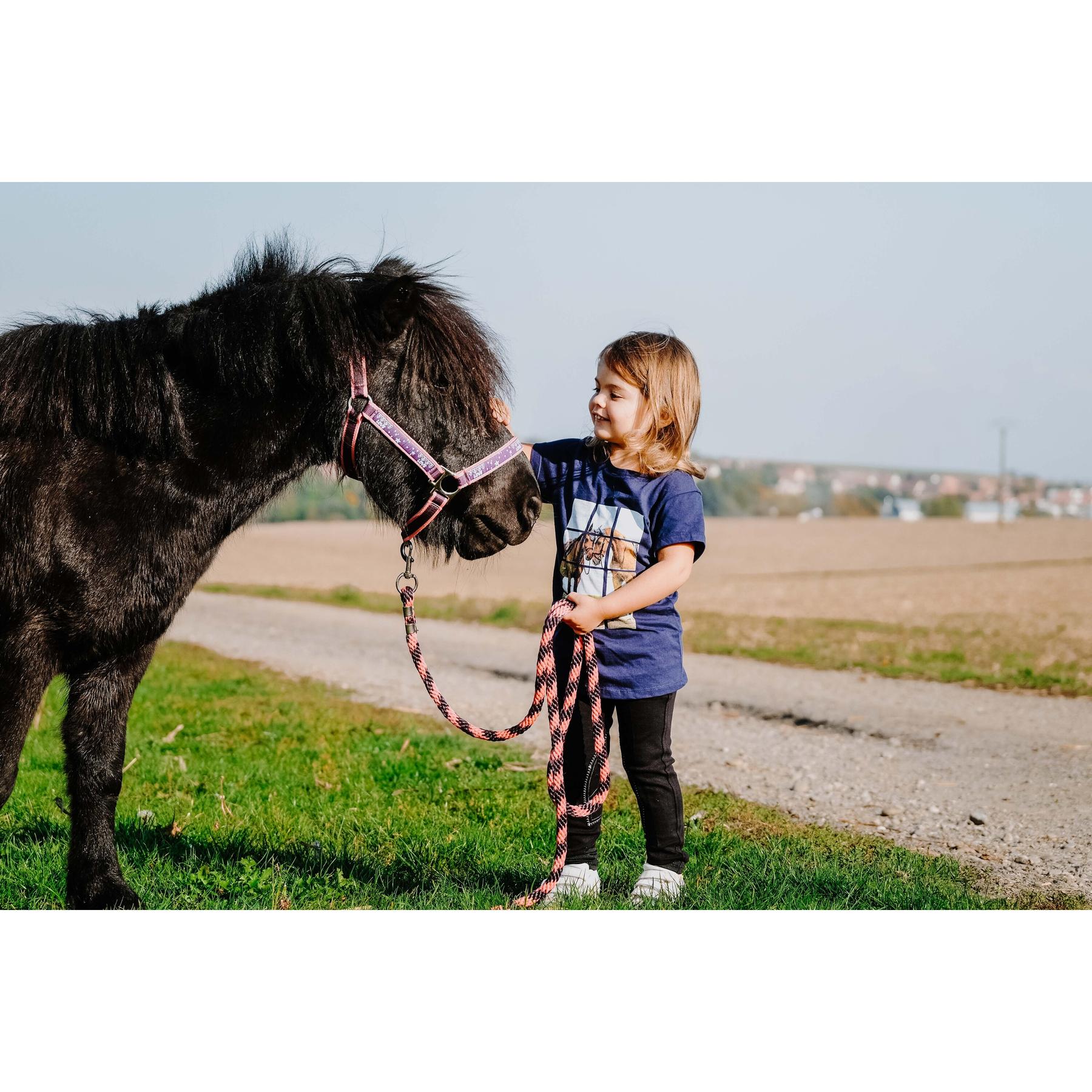 product/e/q/equitheme_963_055_706_ambi2.jpg