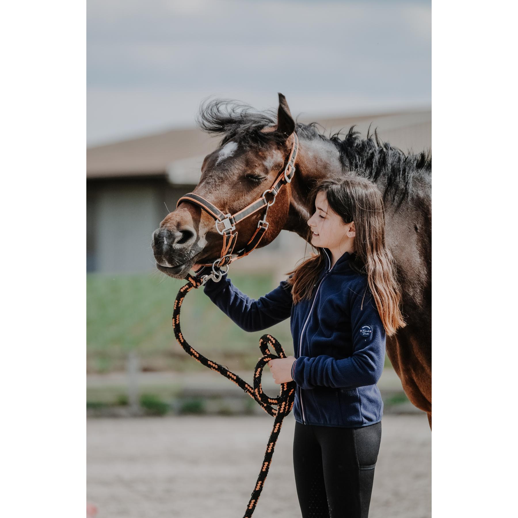 product/e/q/equitheme_964_677_712_ambi1.jpg