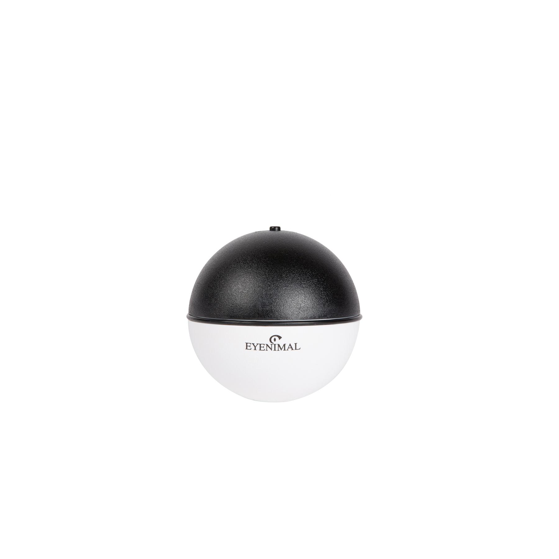 product/e/y/eyenimal_ngcattoy002_3.jpg