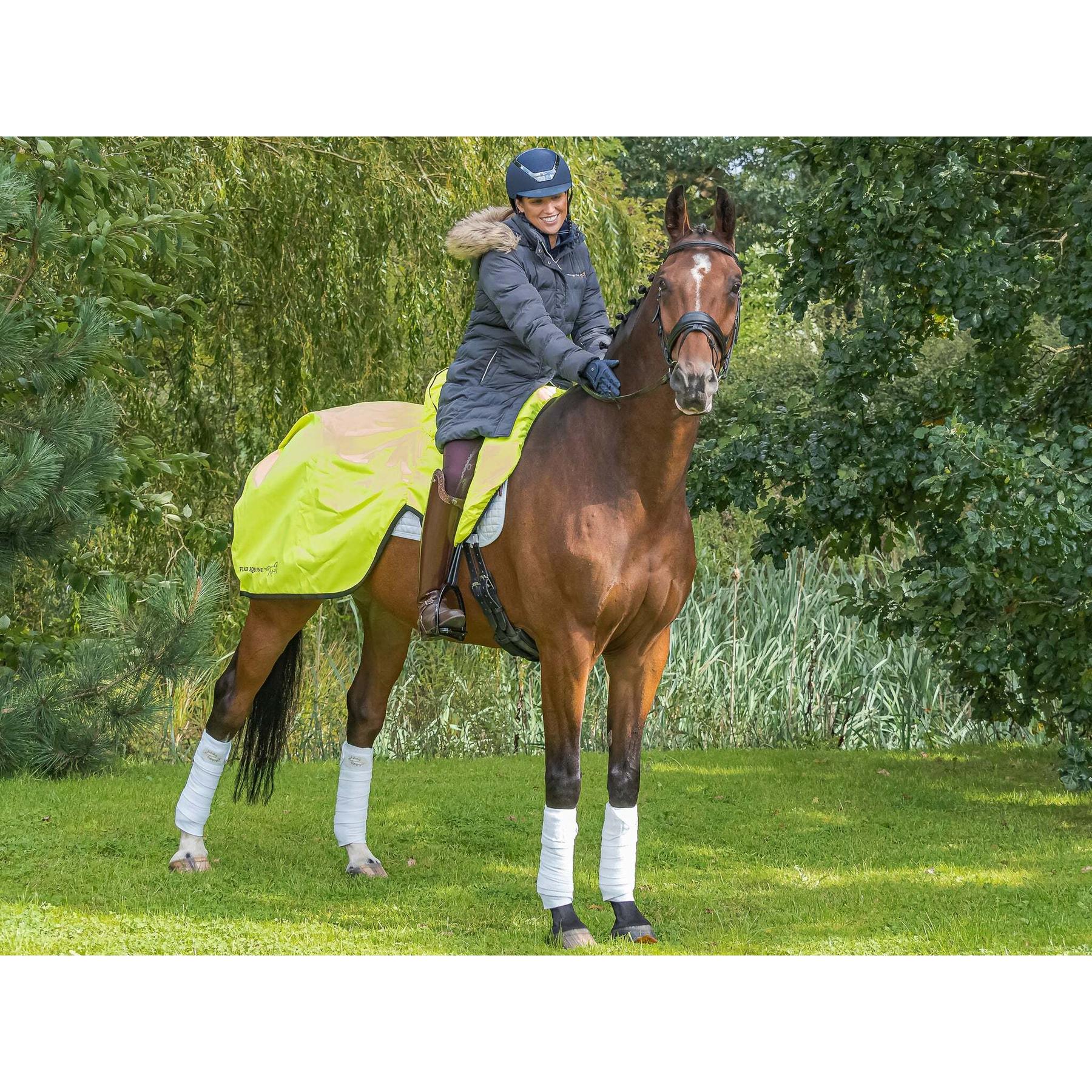 product/f/i/finer-equine_fe008_4.jpg