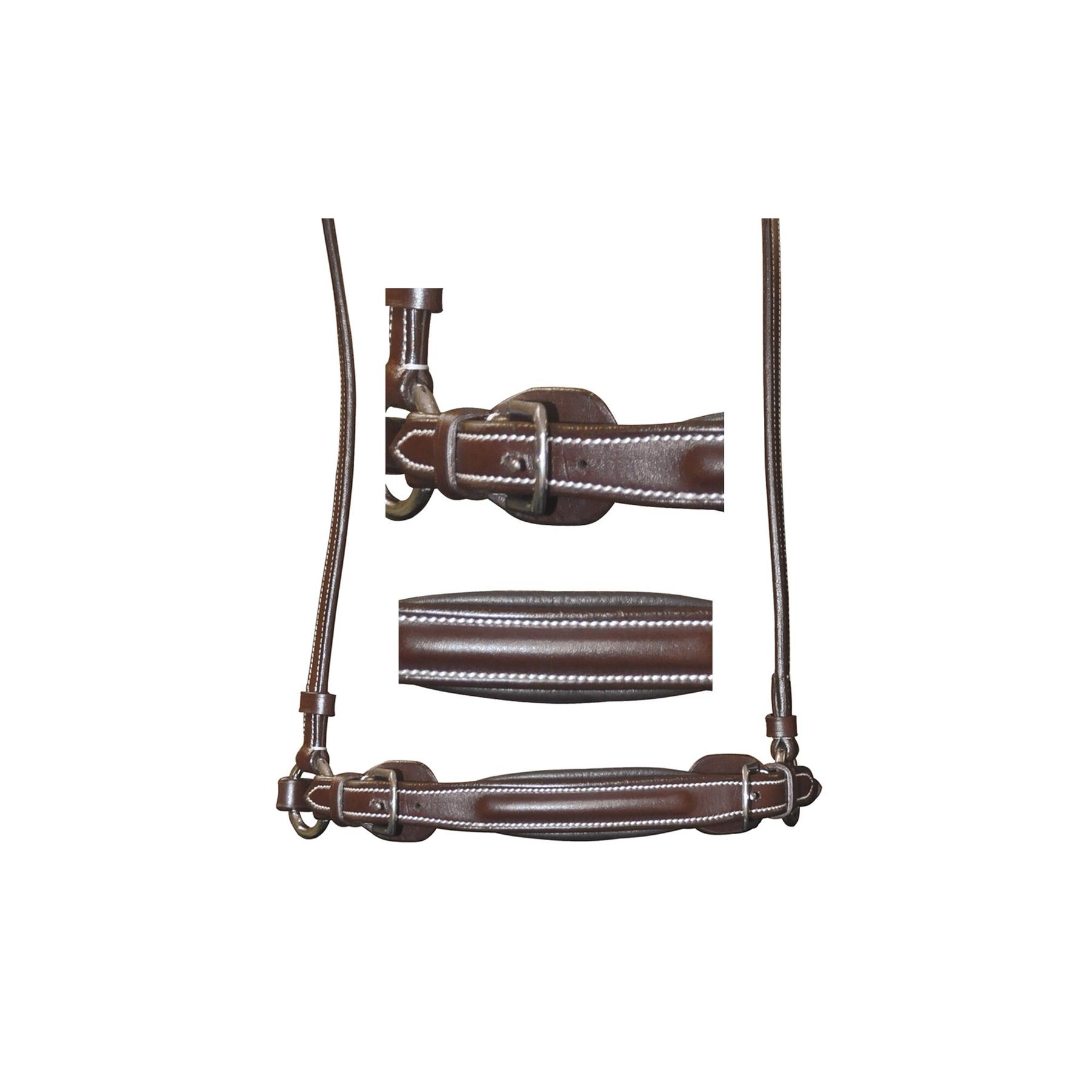 product/f/l/flags-cup_176101-marron_mag4571216_3.jpg