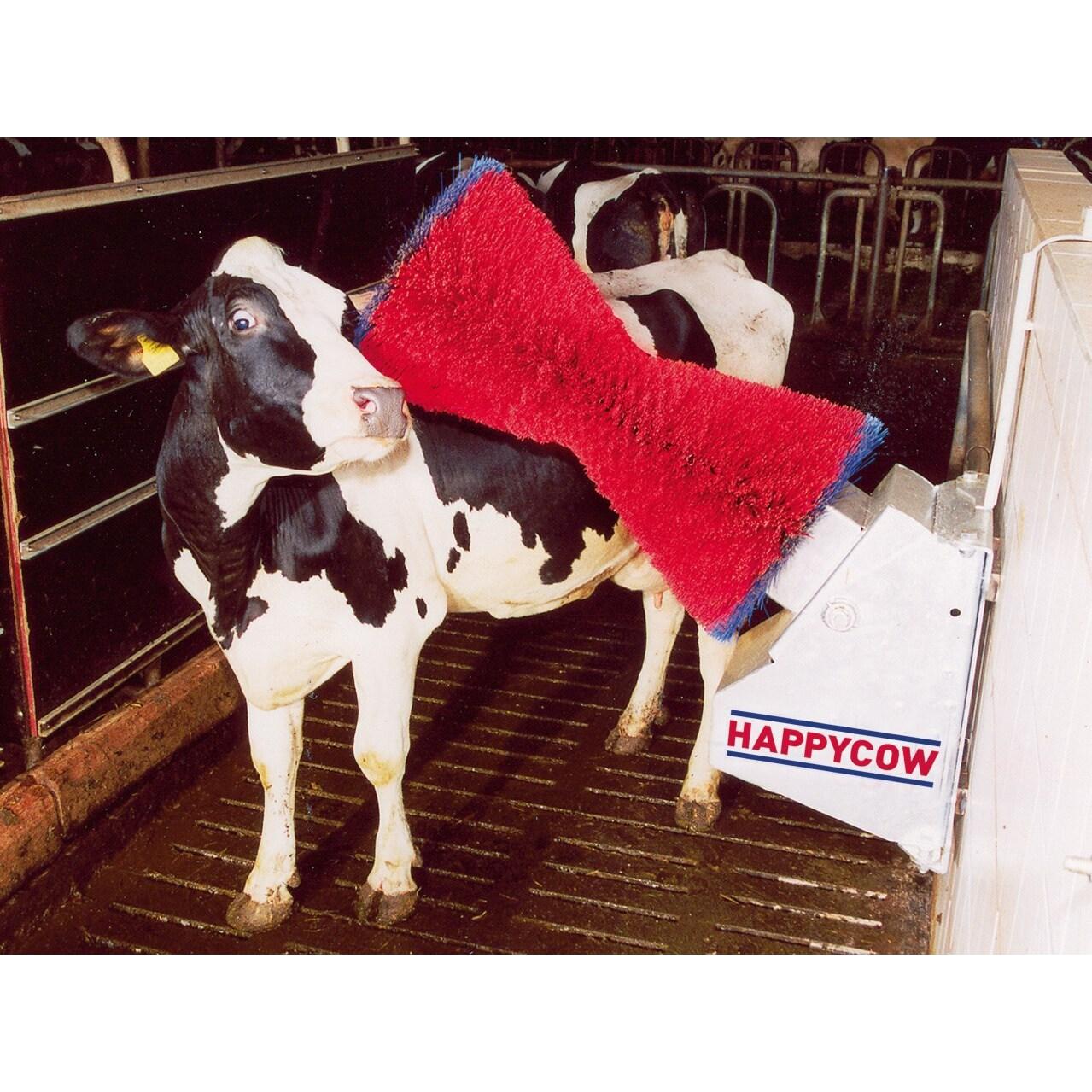 product/h/a/happycow_18680_4.jpg
