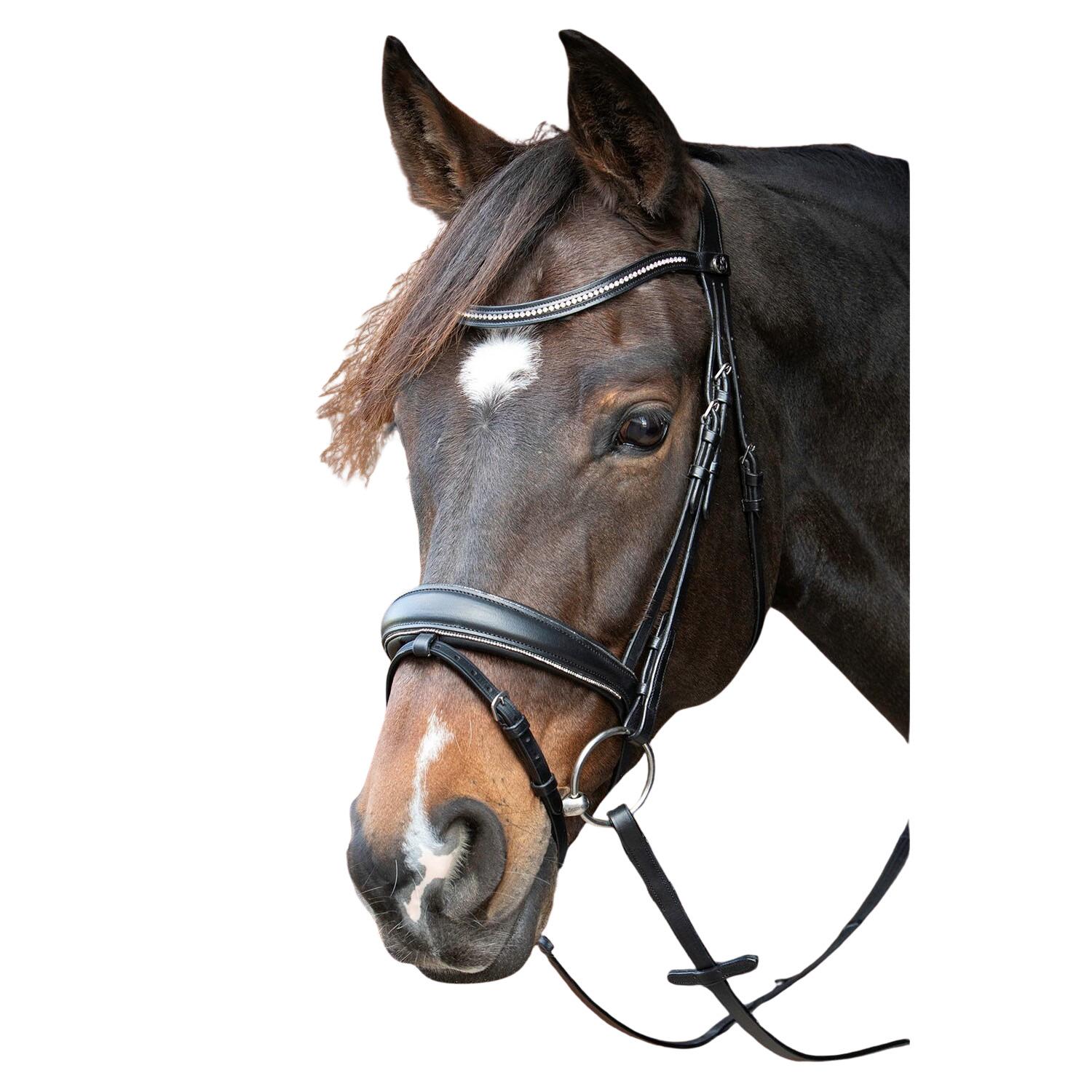 product/h/a/harry-s-horse_28000074-zwart_zwart_1.jpg