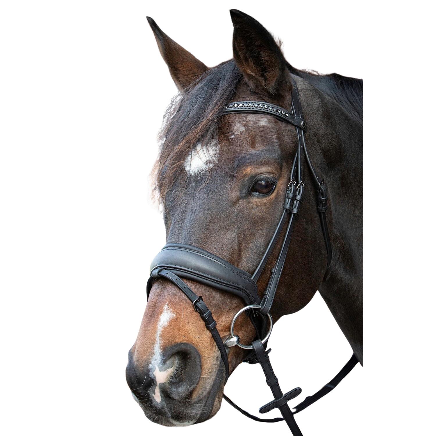 product/h/a/harry-s-horse_28000075-zwart_zwart_1.jpg