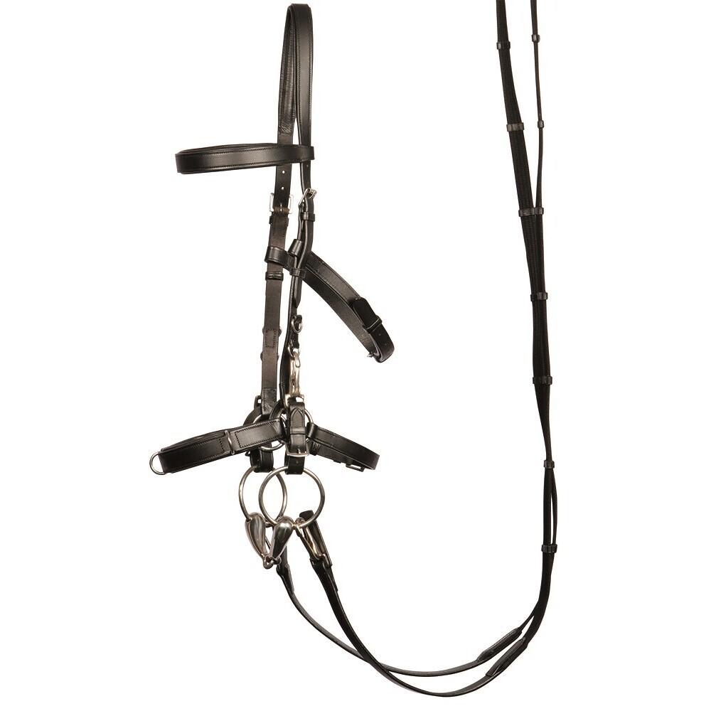 product/h/a/harry-s-horse_28008125_1_2.jpg