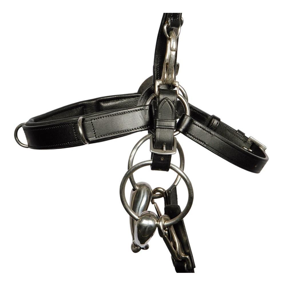product/h/a/harry-s-horse_28008125_2_2.jpg