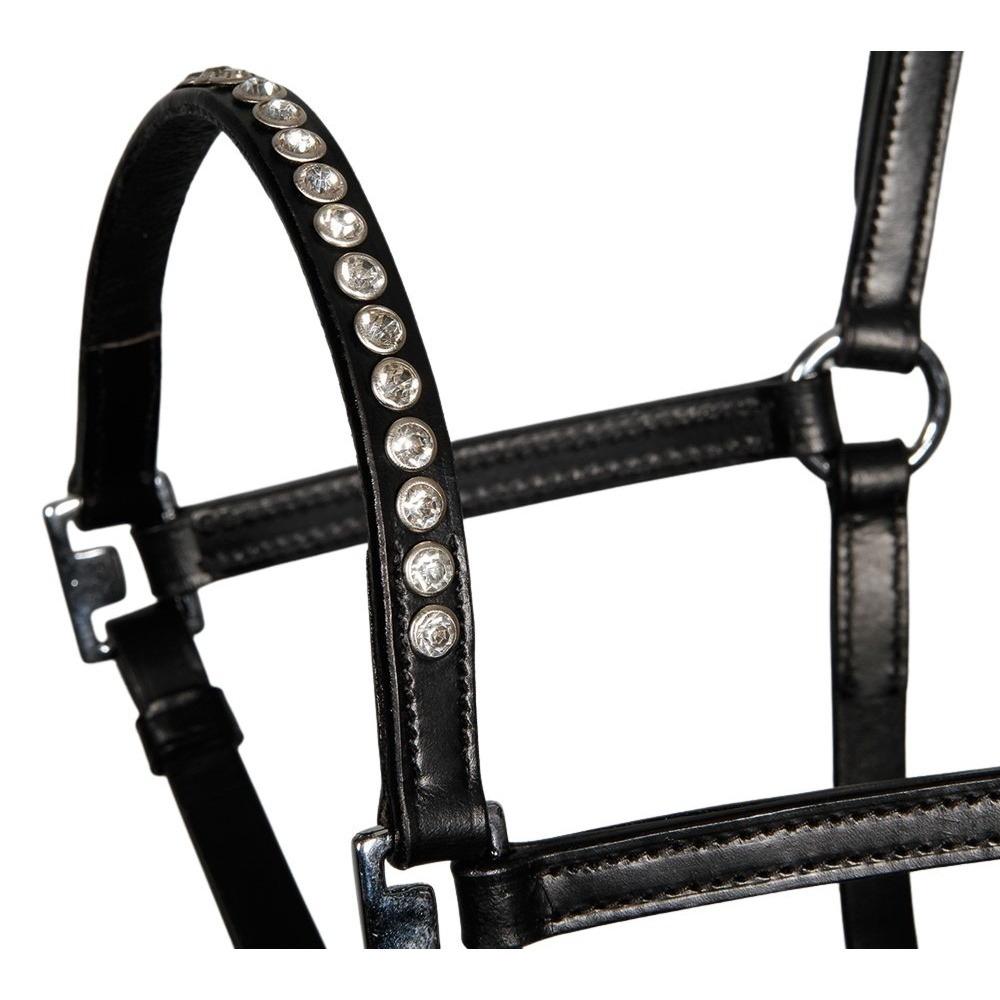 product/h/a/harry-s-horse_28500301_2_2.jpg
