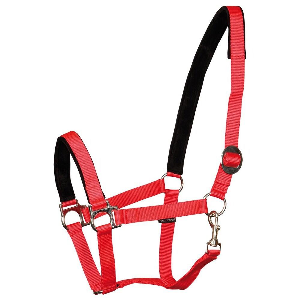 product/h/a/harry-s-horse_31000910-02.jpg