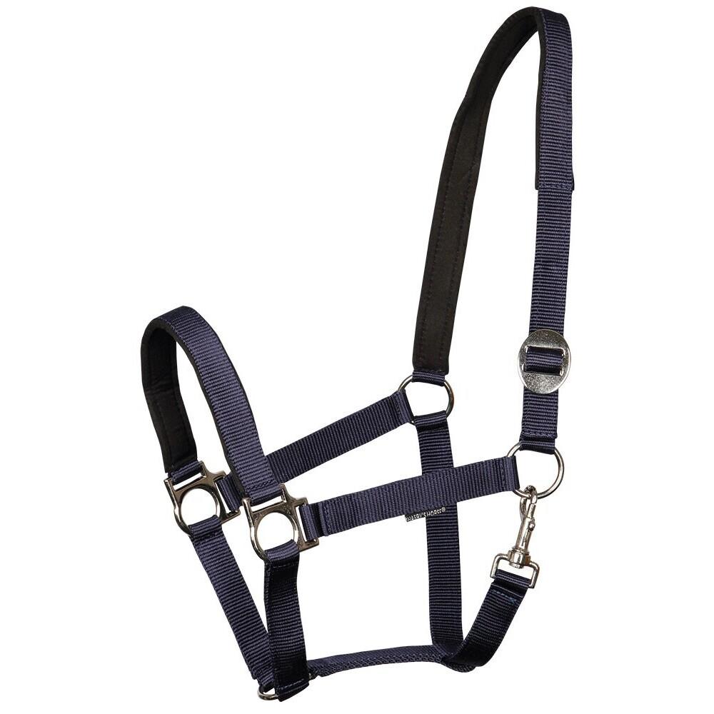 product/h/a/harry-s-horse_31000910-07.jpg