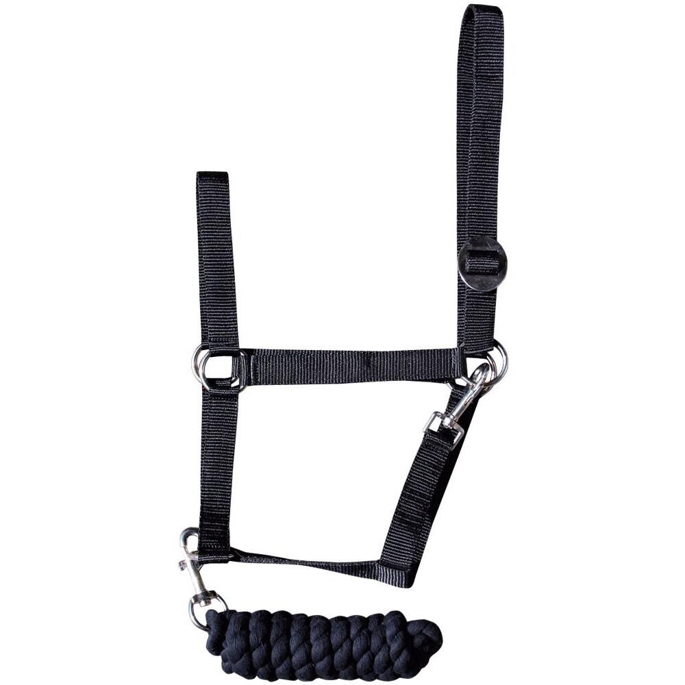 product/h/a/harry-s-horse_31000926-05.jpg