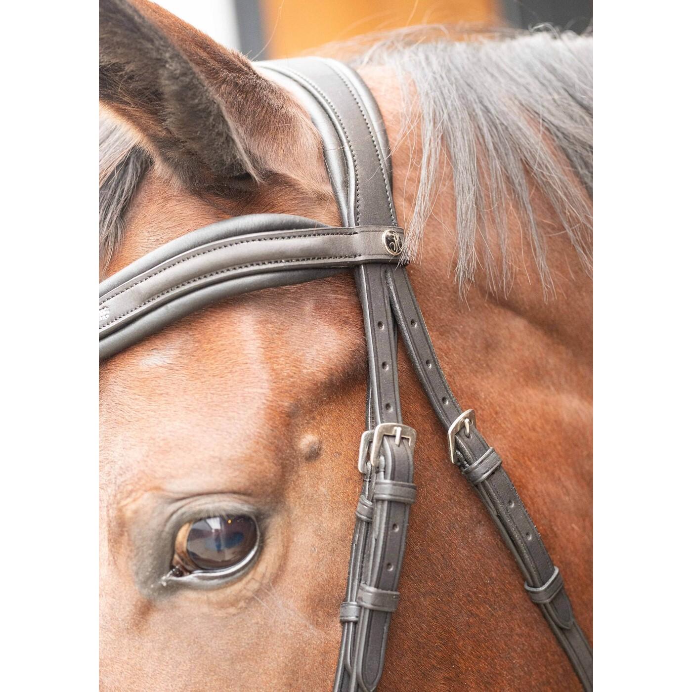 product/h/a/harry-s-horse_31008021-navy_navy_4.jpg