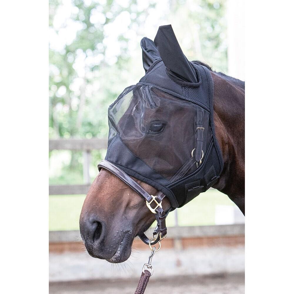 product/h/a/harry-s-horse_31300006_2_2.jpg