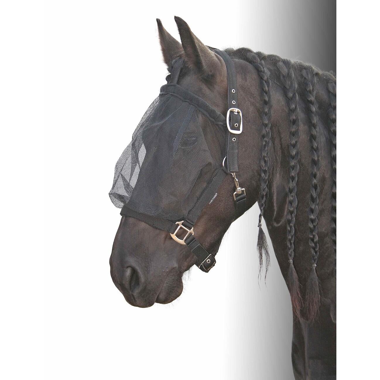 product/h/a/harry-s-horse_31300010_1_2.jpg