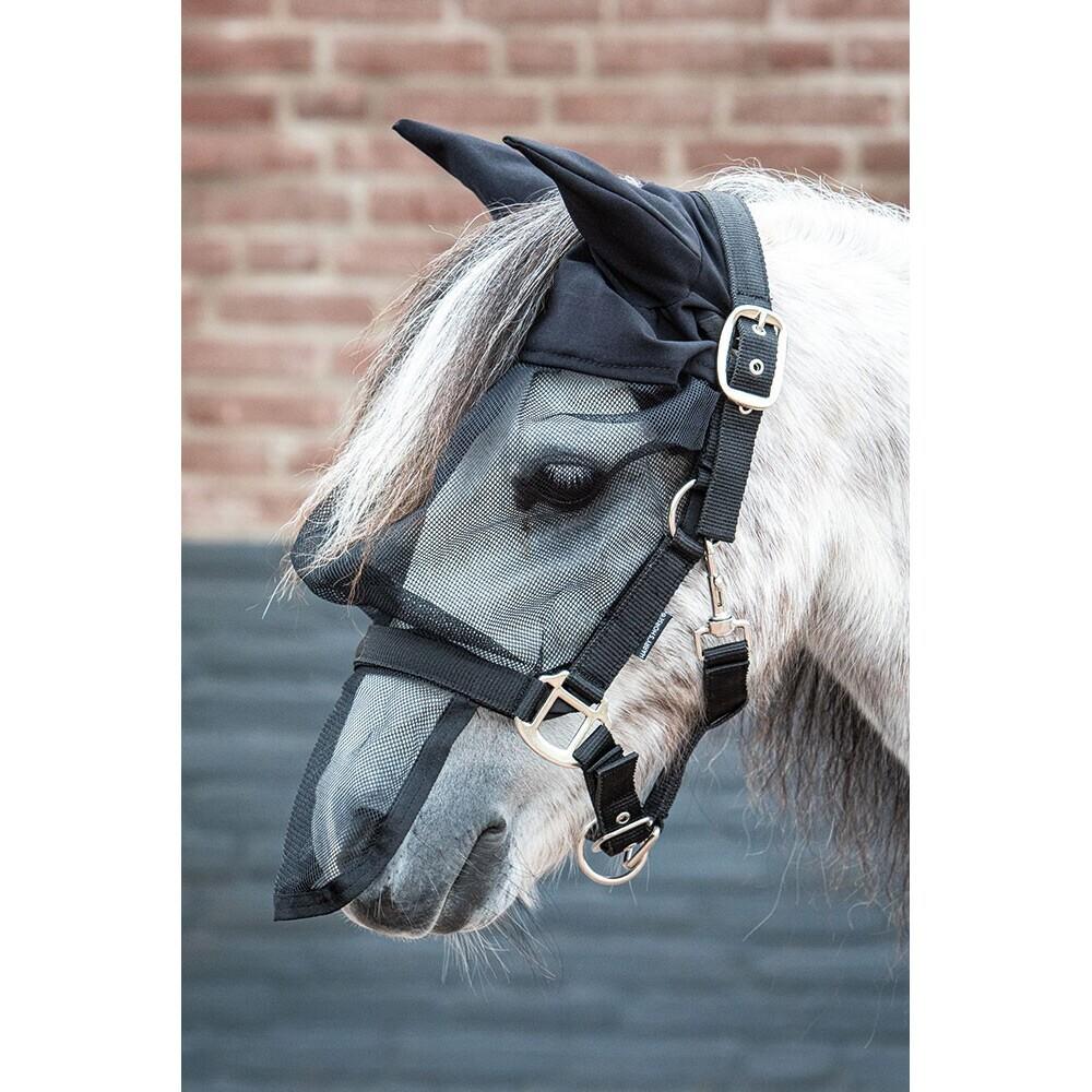 product/h/a/harry-s-horse_31300011_2_2.jpg