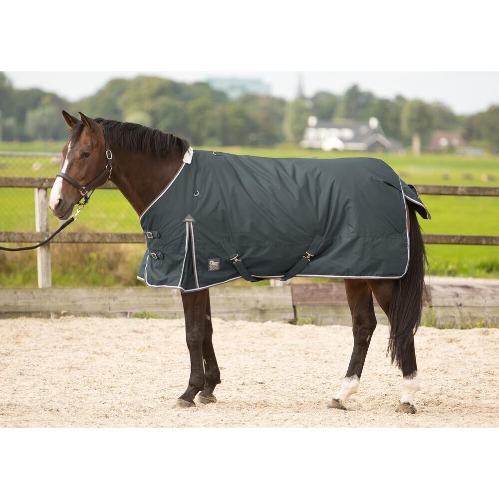 product/h/a/harry-s-horse_32200676-42.jpg