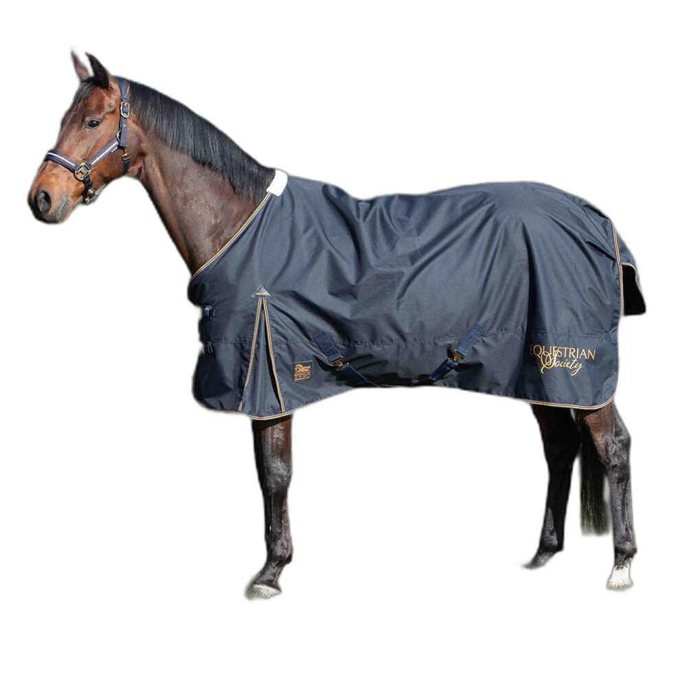 product/h/a/harry-s-horse_32206803-blueberry_blueberry_1.jpg