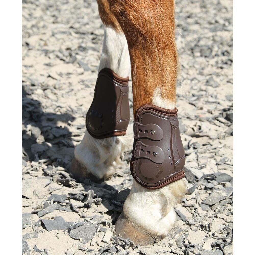 product/h/a/harry-s-horse_33200014-03_bruin_2.jpg