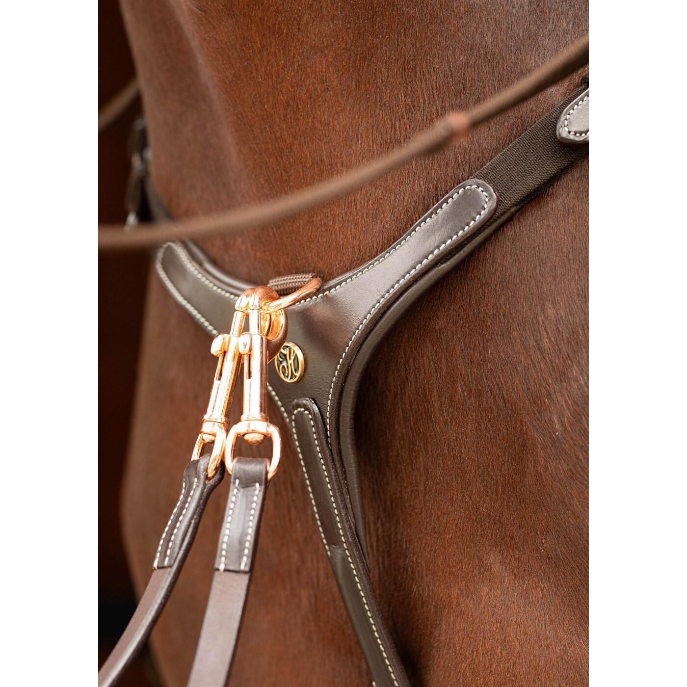 product/h/a/harry-s-horse_33201011-bruin_bruin_3.jpg