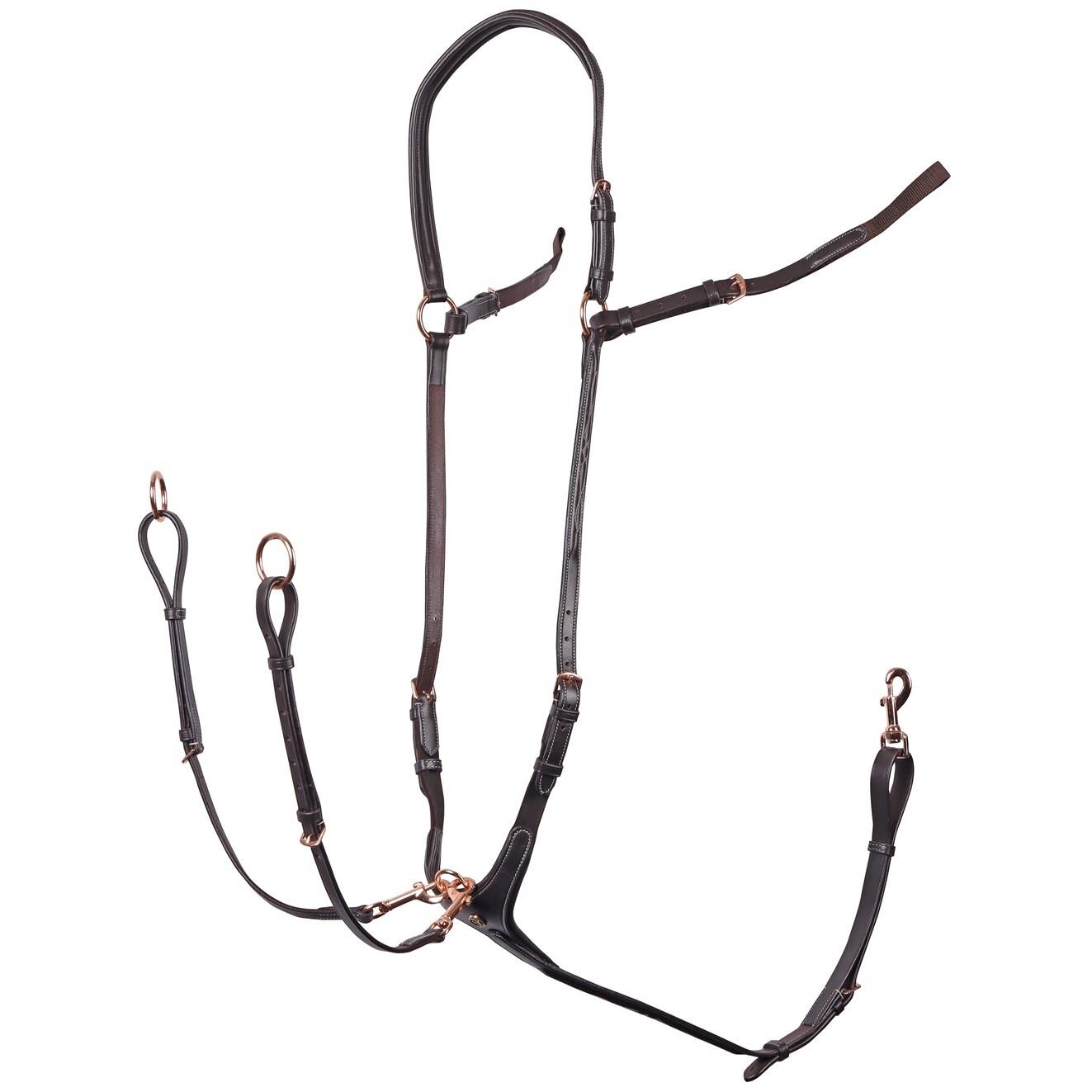 product/h/a/harry-s-horse_33201011-bruin_bruin_4.jpg