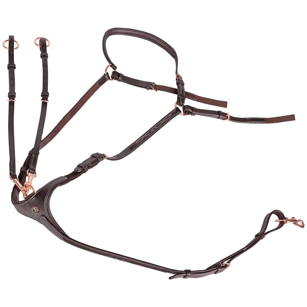 product/h/a/harry-s-horse_33201011-bruin_bruin_5.jpg
