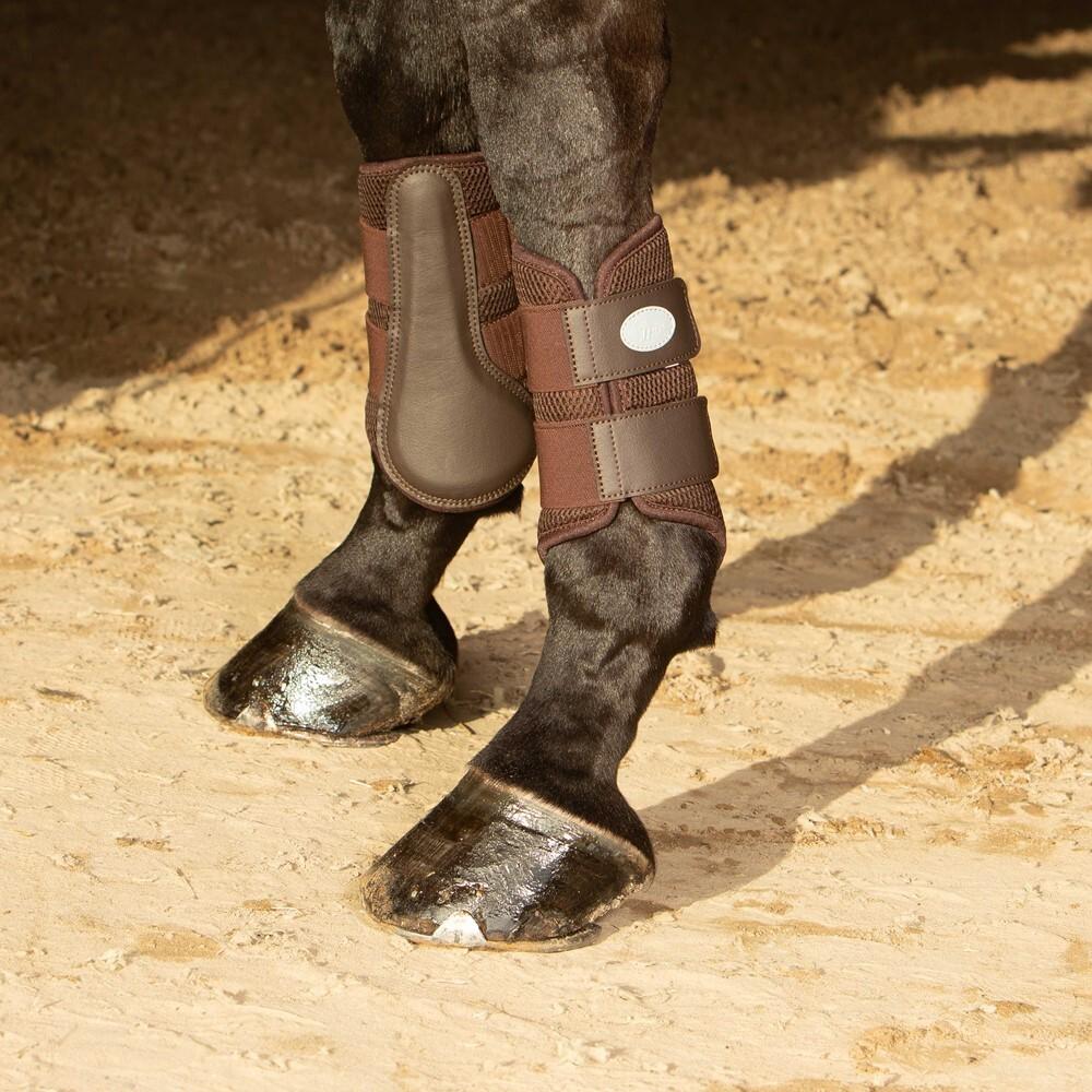 product/h/a/harry-s-horse_33201294-03_bruin_2.jpg