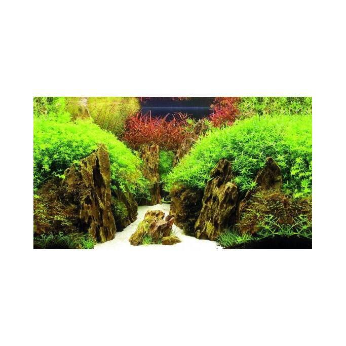 product/h/o/hobby_ho31017_vert_3.jpg