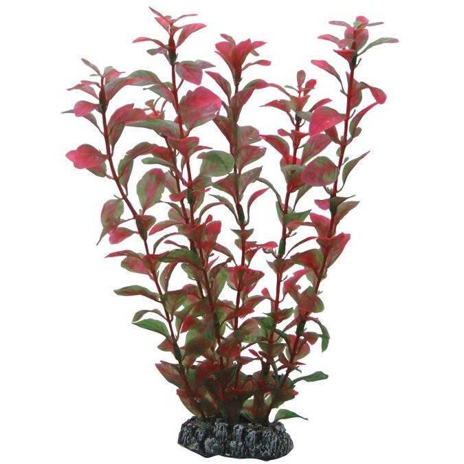 product/h/o/hobby_ho41516_rouge_1.jpg